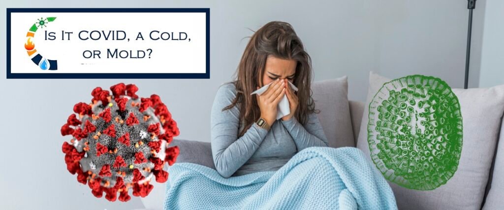 Wondering If It’s Covid, A Cold, or Mold???