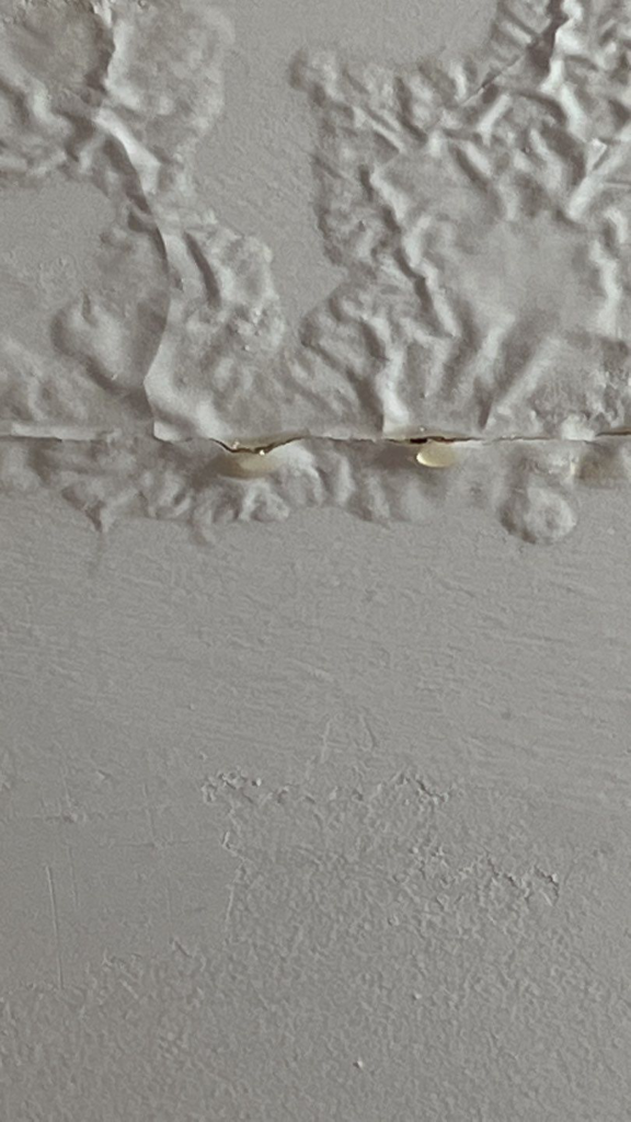 water damage ceiling - bubbling paint - water dripping from ceiling - water leak - water damage restoration - pipe leak - Independent Restoration Services - Middle Tennessee